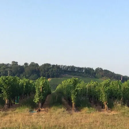 Renaissance Villa *